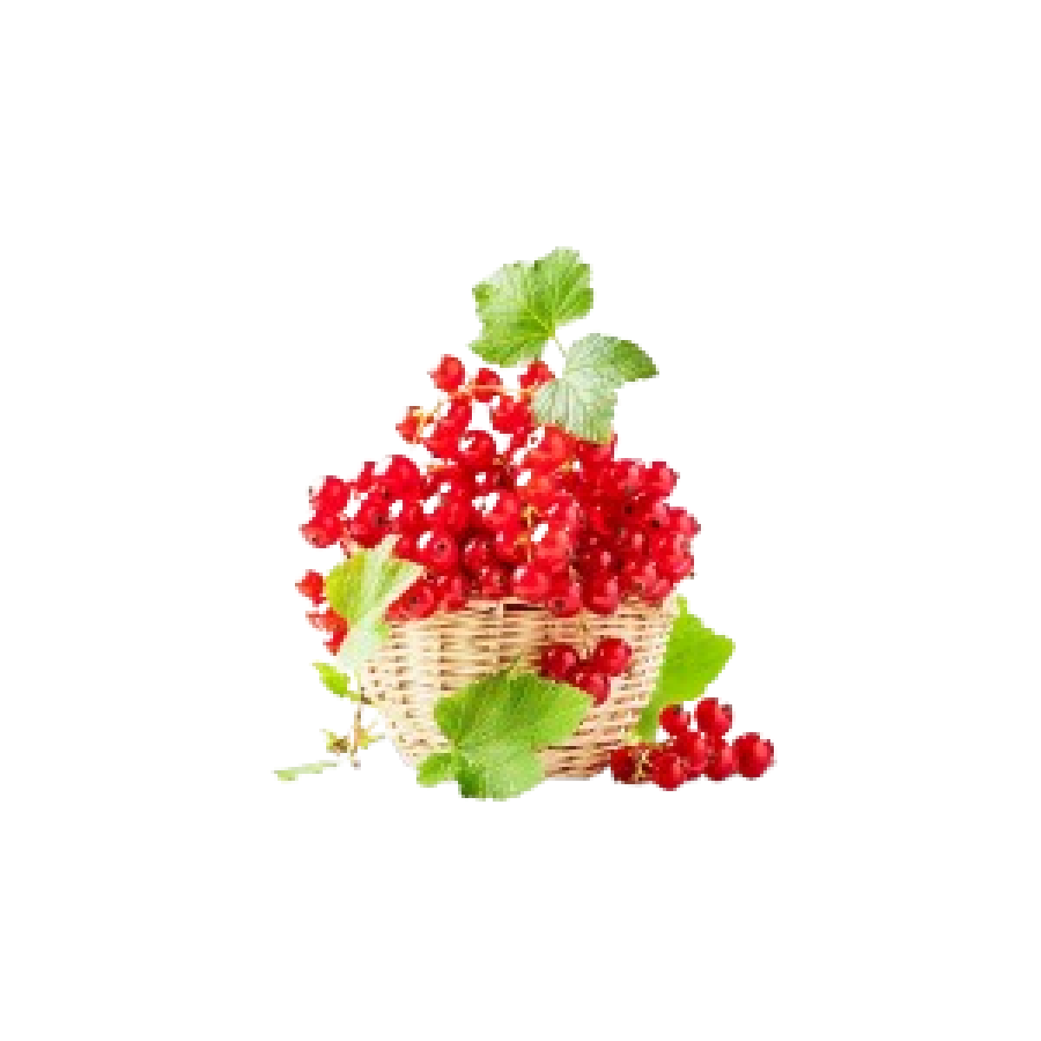 Red current 