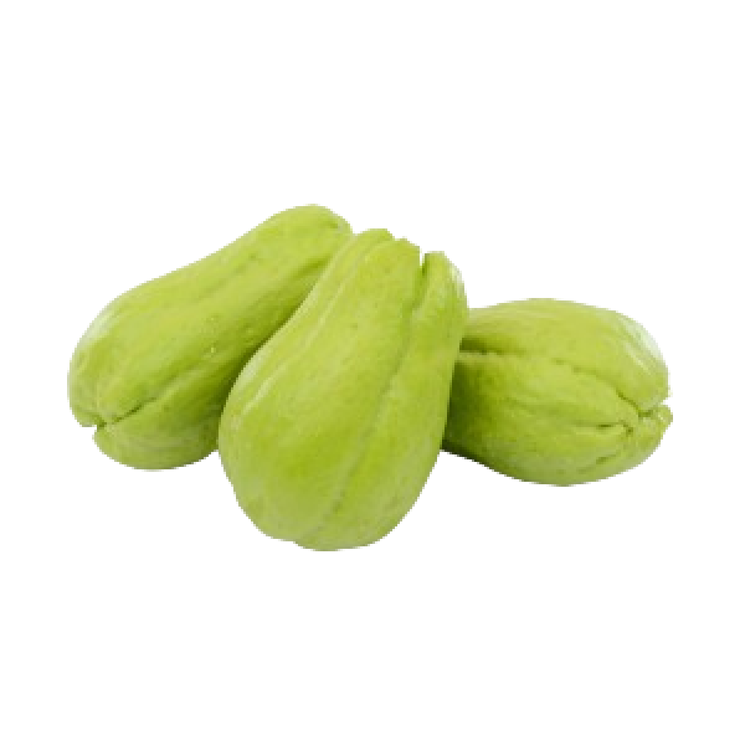 CHAYOTE شايوتي اخضر هولندي