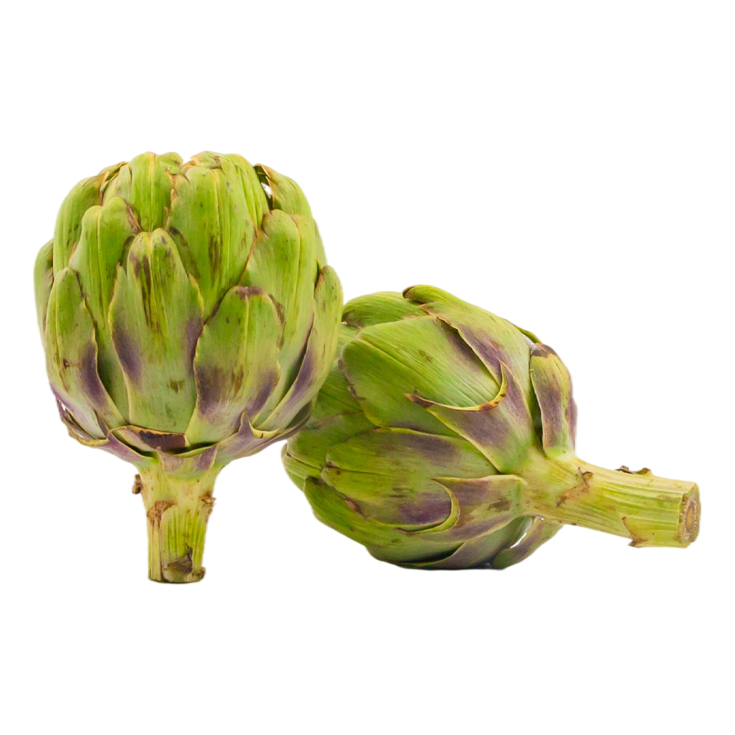 ARTICHOKE HOLLAND