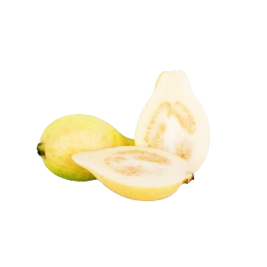 GUAVA THAILAND 