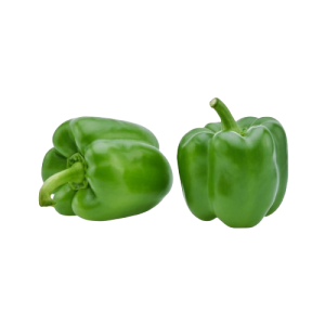 Capsicum green holland