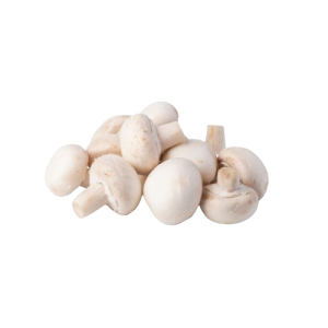 mushroom pp Holland