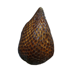 SALAK