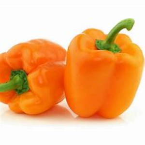 Capsicum orange holland