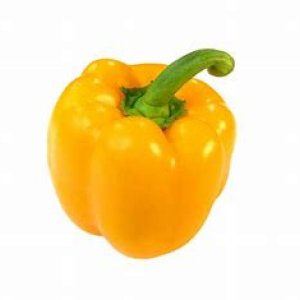 capsicum yellow holland